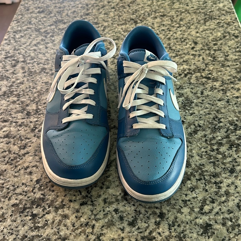 Blueberry Nike Dunks